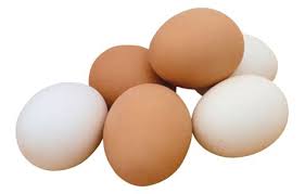 Oeufs de 4 Pack 